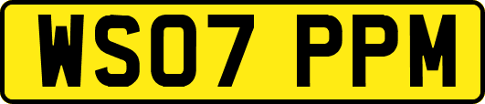WS07PPM