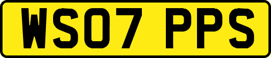 WS07PPS