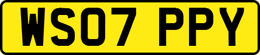 WS07PPY