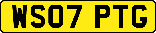 WS07PTG