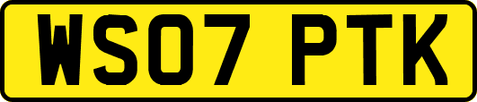 WS07PTK