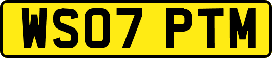 WS07PTM