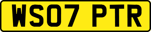 WS07PTR