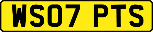 WS07PTS
