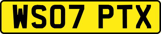 WS07PTX
