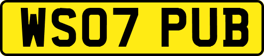 WS07PUB