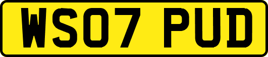 WS07PUD