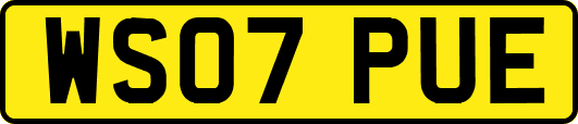 WS07PUE