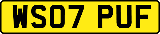 WS07PUF