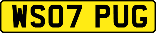 WS07PUG