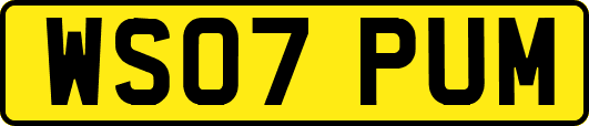 WS07PUM