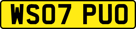 WS07PUO