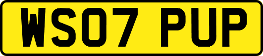 WS07PUP