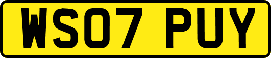 WS07PUY