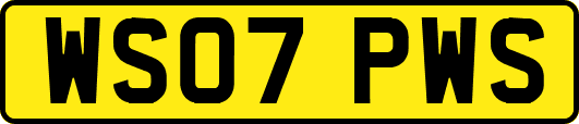 WS07PWS