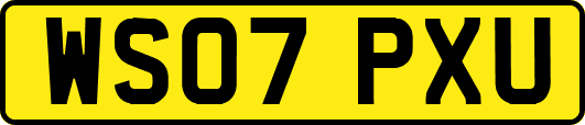 WS07PXU