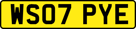 WS07PYE