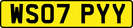 WS07PYY