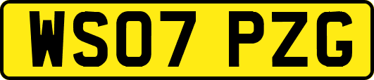 WS07PZG