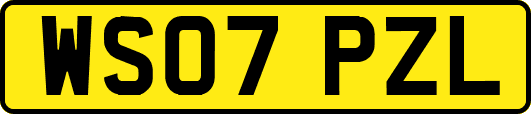 WS07PZL