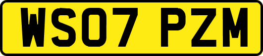 WS07PZM