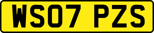 WS07PZS