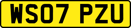 WS07PZU
