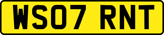 WS07RNT