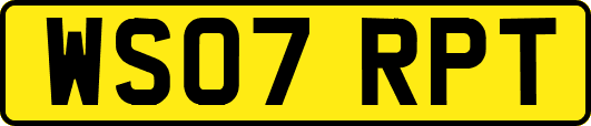 WS07RPT