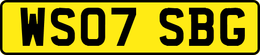 WS07SBG