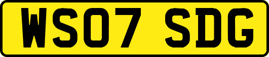 WS07SDG