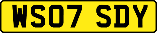 WS07SDY