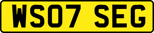 WS07SEG