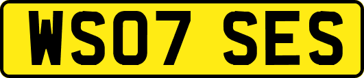 WS07SES
