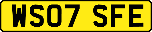 WS07SFE