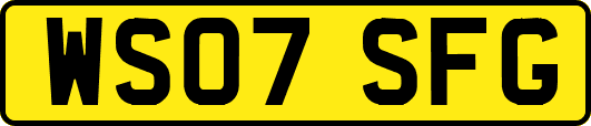 WS07SFG