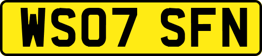WS07SFN