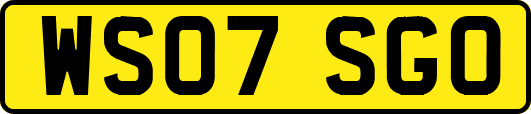 WS07SGO