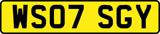 WS07SGY
