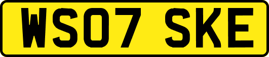 WS07SKE