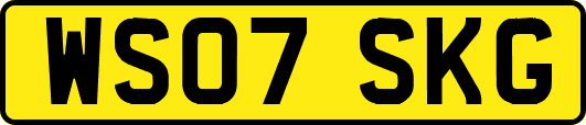 WS07SKG