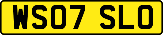 WS07SLO