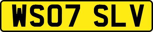 WS07SLV