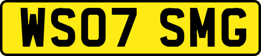 WS07SMG