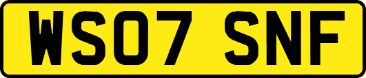 WS07SNF