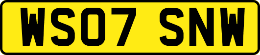 WS07SNW