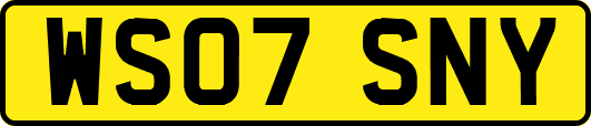 WS07SNY