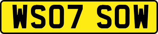 WS07SOW