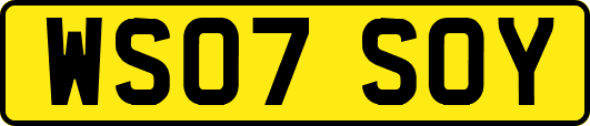 WS07SOY
