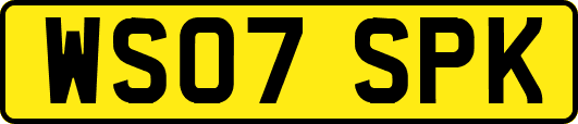 WS07SPK